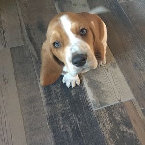 Meet your Posher, Kylee